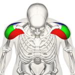 Front shoulder pain