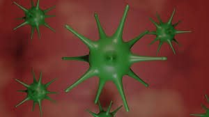 Immune System and viruses